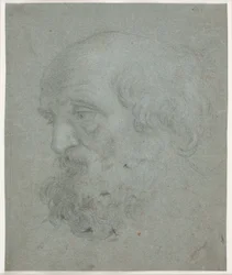 Cabeza de hombre barbudo (Apóstol Pedro)