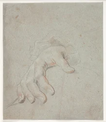 Estudio de una mano