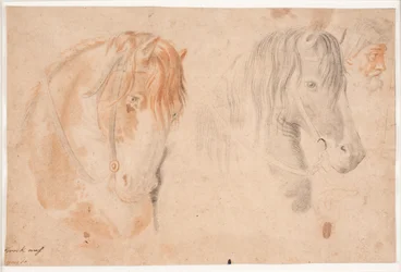 Dos cabezas de caballo y una cabeza de hombre