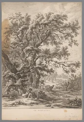 Paisaje con un hombre y un perro debajo de un árbol cerca de Midlaren En Midlaren (título sobre objeto) Nueve caras en Drenthe (título de la serie) IX Rostros en y cerca del paisaje de Drenthe (título de la serie)