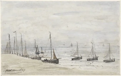 Arañas de pesca en la playa