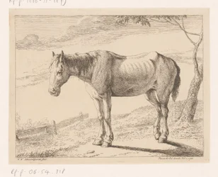Caballo Diferentes animales (título de la serie)