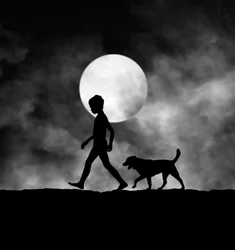 Niño y perro a la luz de la luna