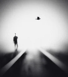 Hombre solitario, pájaro volador