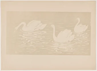 Los cisnes
