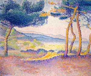 Pinos a lo largo de la orilla