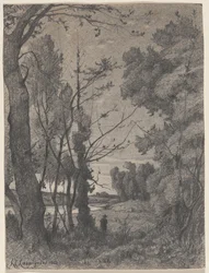 Paisaje boscoso junto a un río