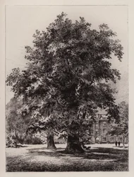 Cambridge: El jardín de Christ