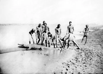 Cazando un cocodrilo, Nubia, Egipto, 1887