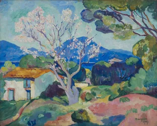 El almendro en flor, 1907