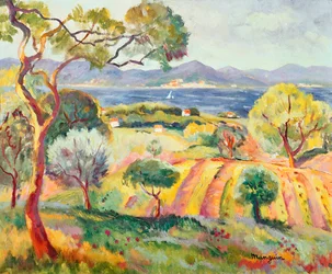 El golfo de St. Tropez, c.1918 (óleo sobre lienzo)