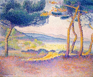 Pinos a lo largo de la orilla