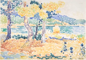 Pinos en la costa