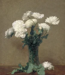 Amapolas