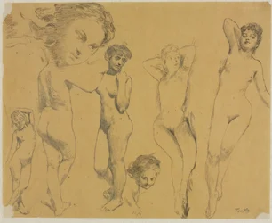 Estudios de desnudos femeninos