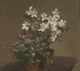 Violetas y azaleas