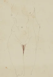 Torso desnudo femenino