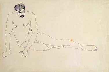 Desnudo Masculino Descansando