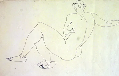 Desnudo Femenino Reclinado de Espaldas