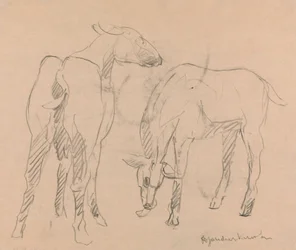 Dos cabras