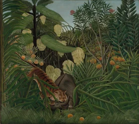 Lucha entre un tigre y un búfalo, 1908