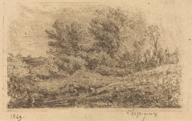 Bosque de árboles en un río (Bouquet d