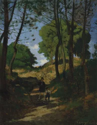 Árboles de abeto en Les Trembleaux, cerca de Marlotte