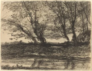 Paisaje