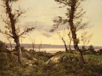 El Estuario, 1895