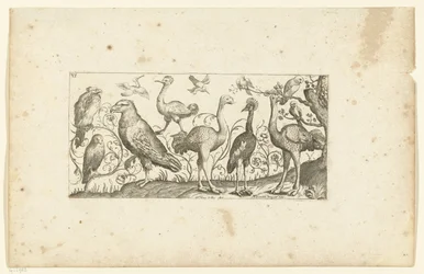 Doce pájaros Pájaros (título de la serie)