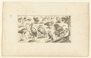 quince pájaros Pájaros (título de la serie)