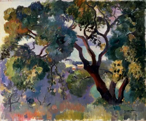 Paisaje en Saint-Tropez, 1905