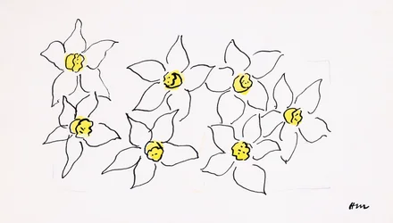 Narcisos