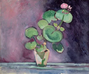 Geranio en maceta (óleo sobre lienzo)