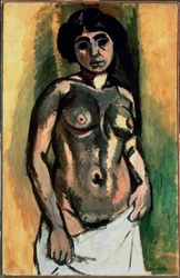 Desnudo