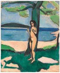 Desnudo junto al mar