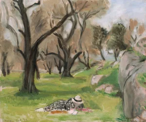 Paisaje Midi