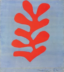Algas rojas sobre fondo azul cielo