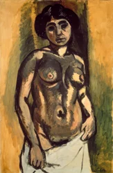 Estudio sobre desnudo dorado-negro