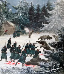 Ataque de oso, Rusia, 1892