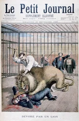 Ataque de león, 1895