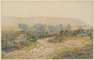 Bruma y rocío. Landas de Pors Léonnec. Morgat