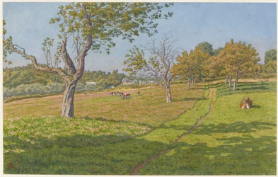 Campos en Auffay