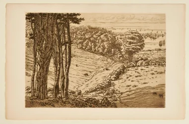 [El puerto de Douarnenez]