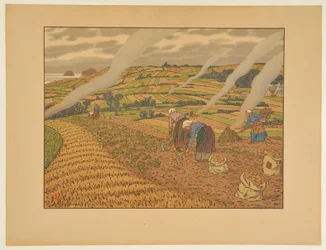 El trabajo en los campos