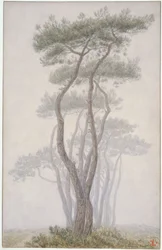 Loguivy, árboles