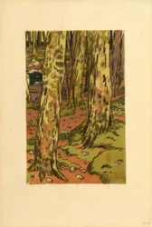 Lavadero bajo el bosque en Loguivy