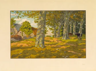 El bosque de hayas en Kerzadern