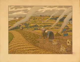 Trabajo en el campo