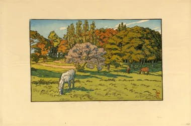 Pequeño bosque en el Béreto (Douarnenez)
